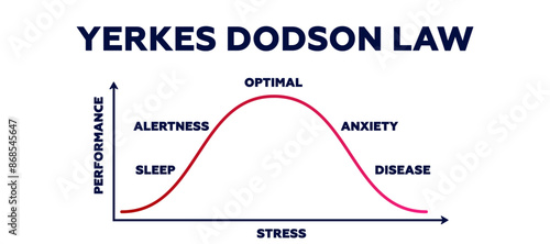 Yerkes dodson law. Psychological research for better results with medium intensity motivation and fear elimination with stressful vector interactions