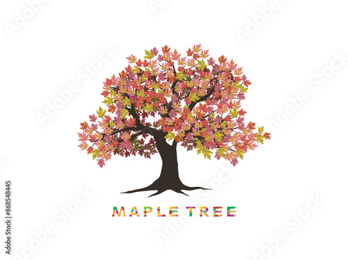 gorgeous maple tree illustrations, vector hand drawing art