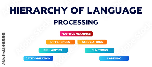 Hierarchy of language diagram. Infographic on similarities and functions with data from ordinal algorithms and comparison instructions with modern vector sequence