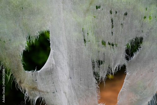 Tableau sur toile old torn cloth,cloth backdrops disintegrating with age and weather