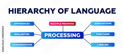 Hierarchy of language diagram. Infographic on similarities and functions with data from ordinal algorithms and comparison instructions with modern vector sequence