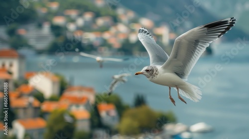 Fototapeta Naklejka Na Ścianę i Meble -  A seagull soaring above a quaint small town, with buildings and streets in the background