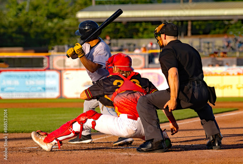 Canvas Print baseball hitter catcher and umpire