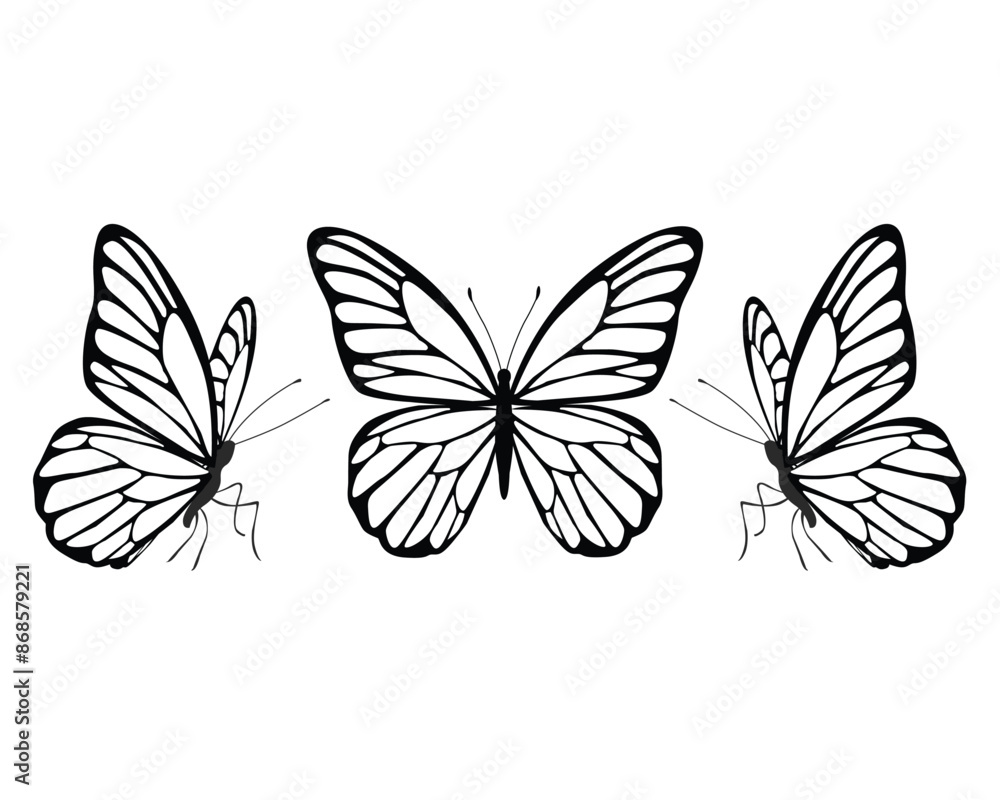 Obraz premium adobe butterfly design.eps