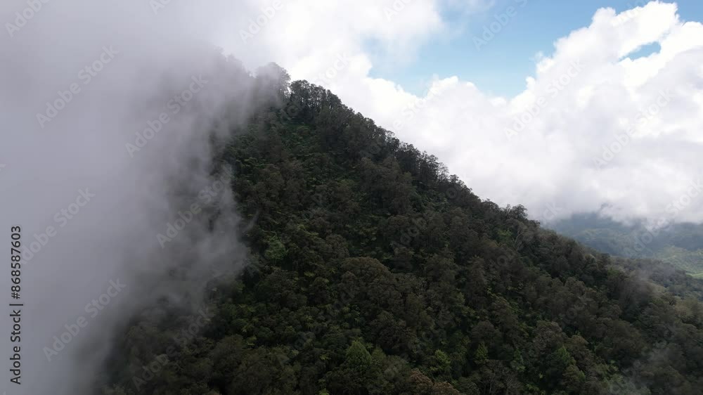 Clouds condense at the top of the mountain, just below you can already see the ridge of the slope with trees growing on the edge. An aerial view of Mount Abang, northern Bali Clouds condense at the top of the mountain, just below you can already see the ridge of the slope with trees growing on the edge. An aerial view of Mount Abang, northern Bali