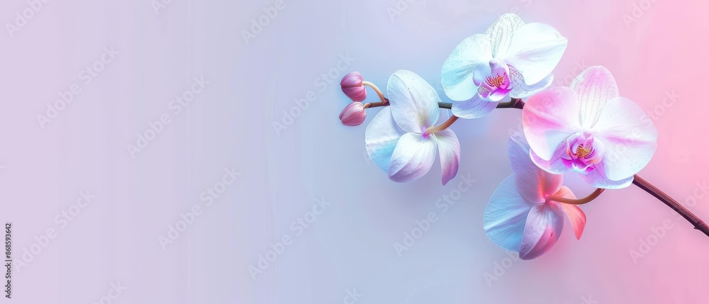 Minimalist banner featuring a modern, holographic orchid with copy space Minimalist banner featuring a modern, holographic orchid with copy space