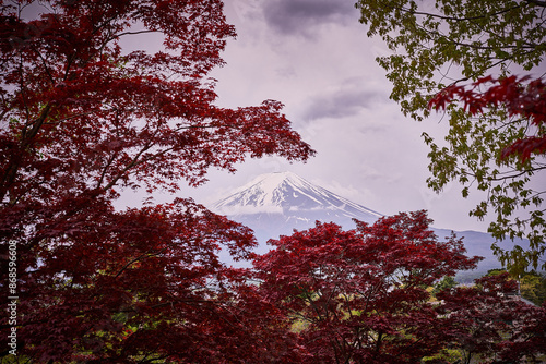 Fuji mountain