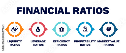 Financial ratios diagram. Business investment with financial profit and marketing liquidity taking into account solvency of vector client