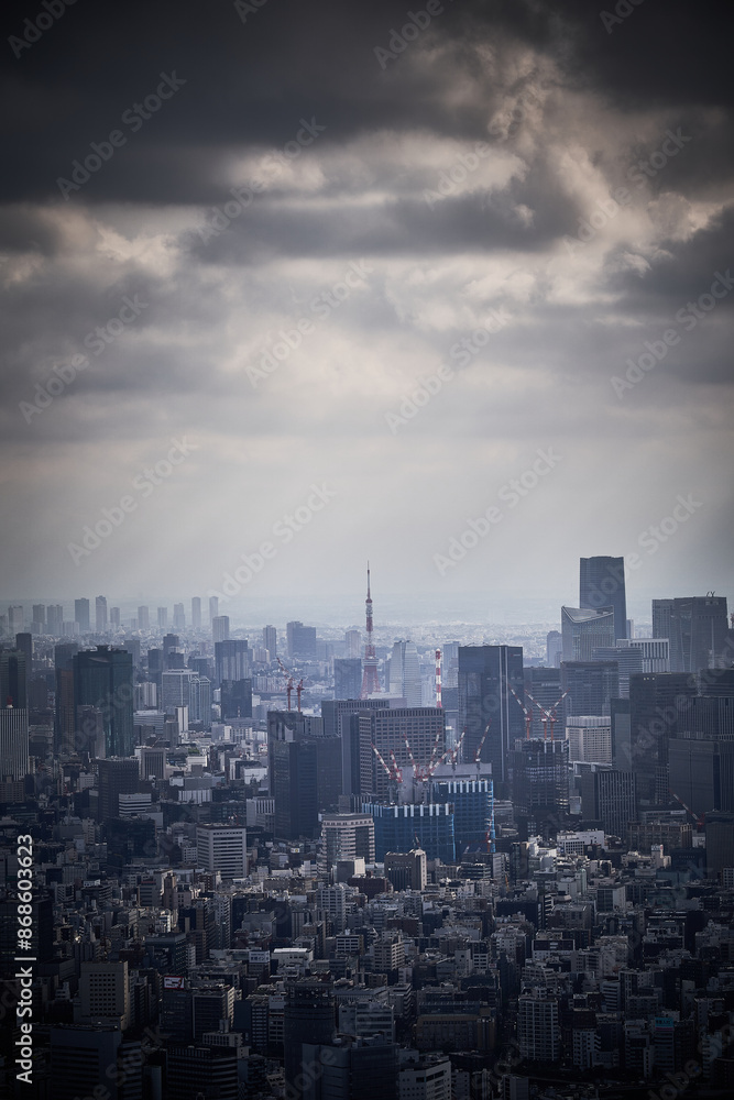 Fototapeta premium tokyo tower at tokyo city