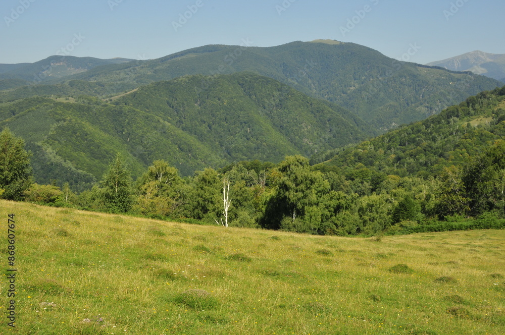 Obraz premium landscape in the mountains