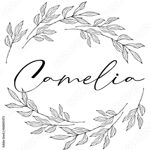 Camelia - colore nero - nome scritto racchiuso in un cerchio corona di foglie Alloro- grafica vettoriale - per siti web, auguri, banner, cartoline, stampe, cricut, silhouette, sublimazione, laurea
