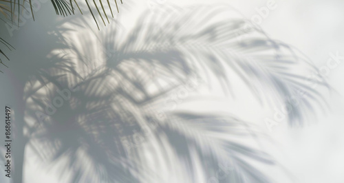 Dreamy Abstract Background with Blurred Palm Tree Shadows on White Wall