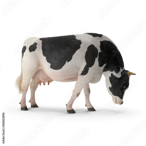 Realistic 3D Cow PNG Images | High-Quality Cow Modeling Illustrations | Detailed Farm Animal and Livestock Art