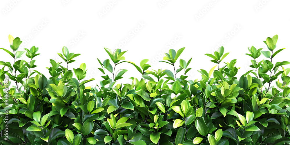 Green Leaves Illustration on Black Background Green Leaves Illustration on Black Background