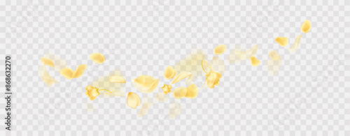 Yellow falling rose or sunflowers petals.Transparent panoramic horizontal background.Amber flower spring template.