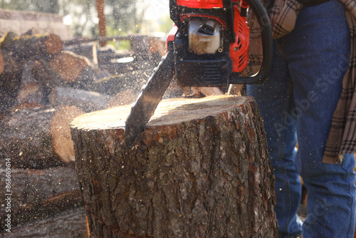 Man sawing wooden log on sunny day, closeup