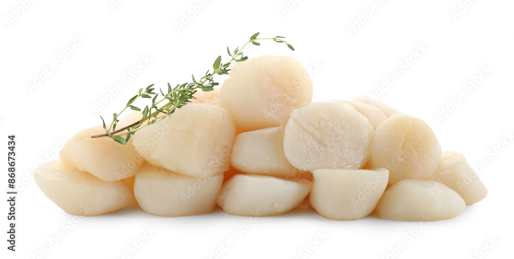 Pile of fresh raw scallops and thyme isolated on white Pile of fresh raw scallops and thyme isolated on white