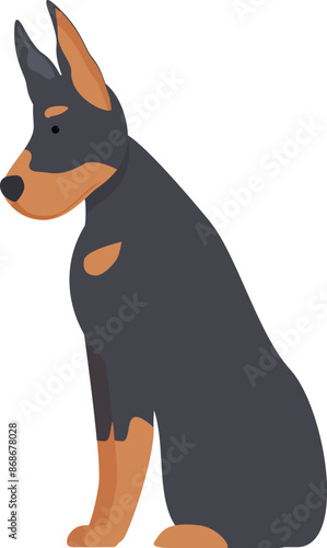 Doberman pinscher dog is sitting and waiting patiently