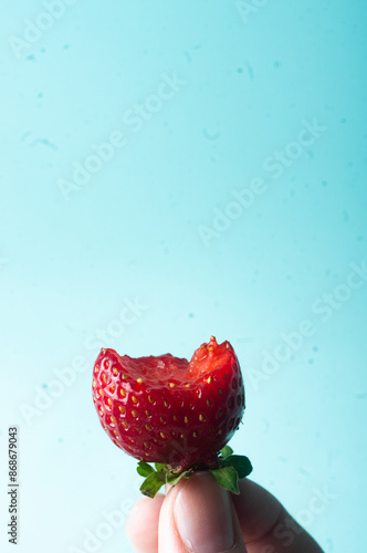 Deicious juicy stawberry close up in hand on blue background copy space photo