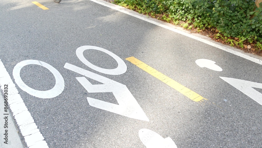 Fototapeta premium Bike lane asphalt sign, New York City. Bicycle path, cycle route for bicyclists, Manhattan. Way for roller skating and skates. Recreational sport activity infrastructure, biker cycling, United States.