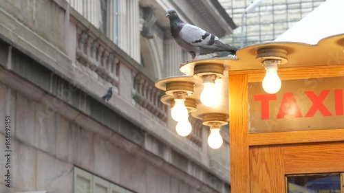 New York City, American Grand Central Terminal railway station building, 42 street. Manhattan Midtown. Yellow taxi kiosk, telephone call box with bulb lights on Pershing Square, NYC, USA. Pigeon bird.