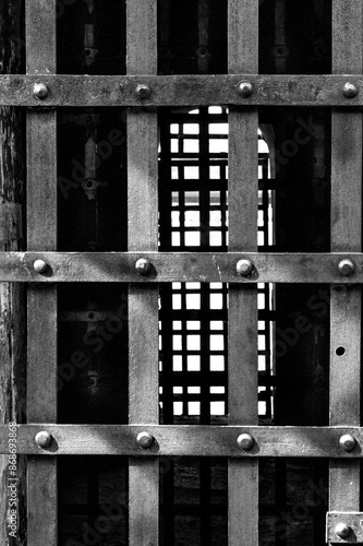 Obraz na plátne Prison Bras
