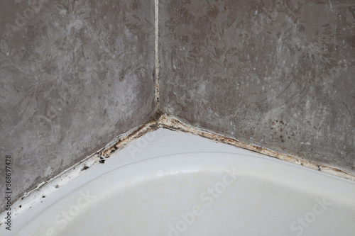 Close-up of corner of bathroom bathtub affected by mold. Potentially hazardous to health, mold indoors. photo