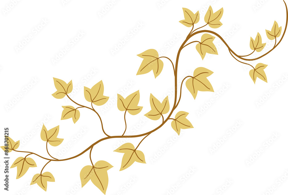 ivy plant drawing illustration. ivy plant drawing illustration.