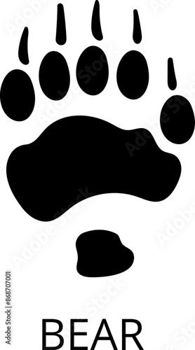 Animals footprints. Realistic Prints wildlife foot icon, bird paw, pets footstep silhouette, print hoofed feet. Cat, dog, wolf, chicken, horse and other vector illustrations.