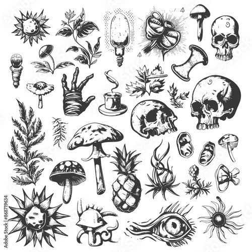 Etched Oddities: Skull, Mushroom, Plant, and Eye Collection.