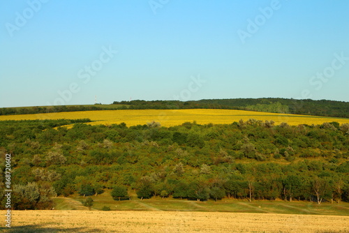 A green field with trees with Konza Prairie Natural Area in the background photo