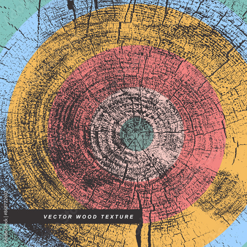 Colored wood texture cross section of tree rings. Cut slice of colorful wooden stump. Old textured surface with rings and cracks. Vector background made of hardwood from the forest.