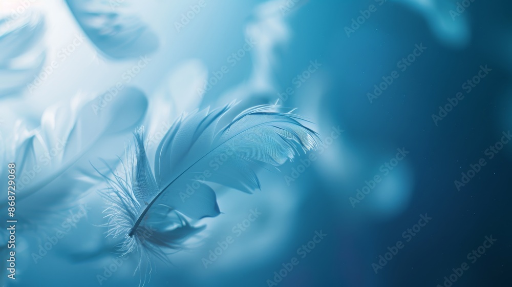 Obraz premium A close-up photo of white feathers floating in a cool, bluish light. The soft textures of the feathers are the focus of the image