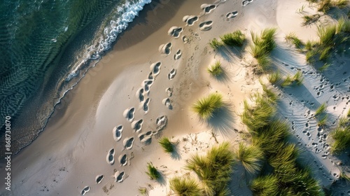 Fototapeta Naklejka Na Ścianę i Meble -  An aerial view of a sandy beach with footprints winding through dunes and green vegetation. The image was taken during a summer hike along the Baltic Sea