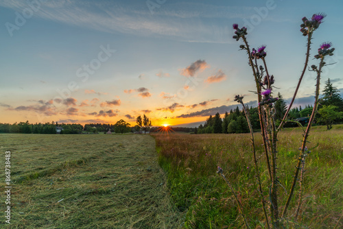 Flowers and meadows in Krusne mountains fresh color evening in Moldava village photo