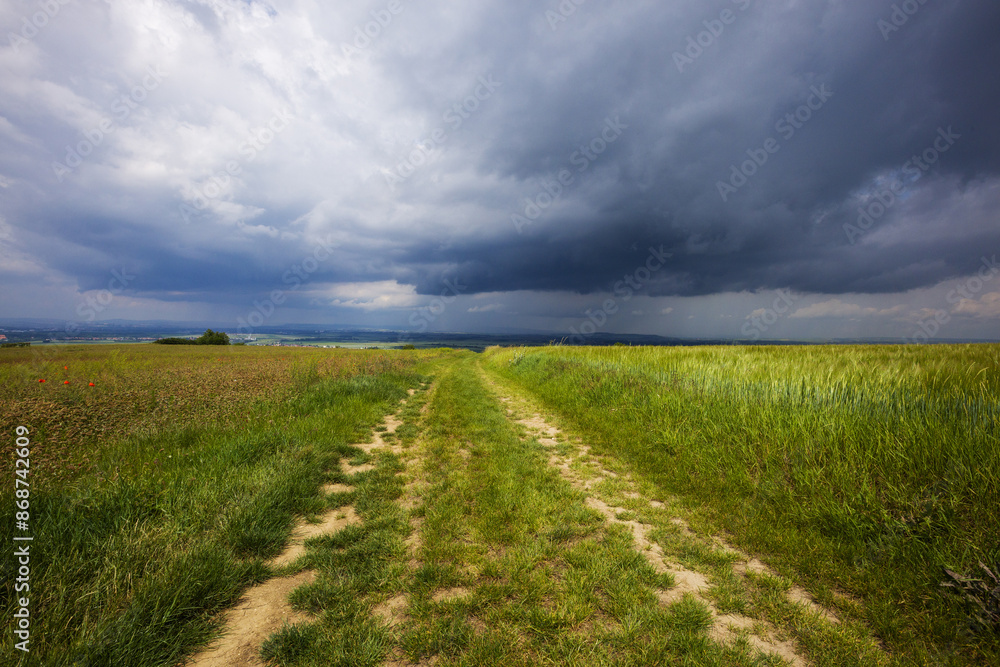 A dirt road leading between fields of green corn and large storm clouds approaching in the background. A dirt road leading between fields of green corn and large storm clouds approaching in the background.