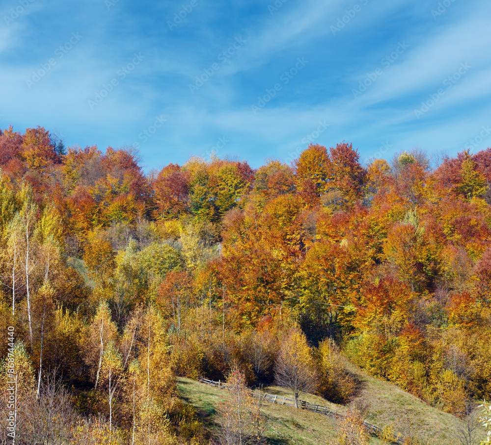 Autumn Carpathian mountains, Ukraine Autumn Carpathian mountains, Ukraine