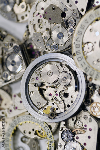 Slika na platnu Clockwork details and parts, macro shot