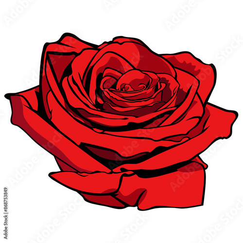 Vector illustration of beautiful red roses on white background. Graphic asset. Decorative illustration. Flower illustration.