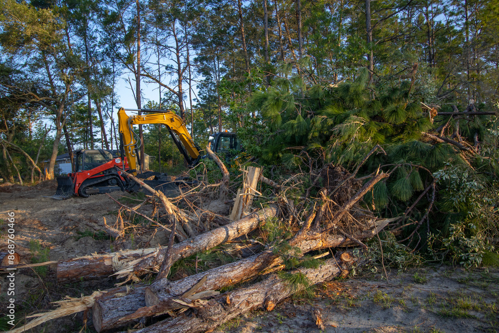 Native forest habitat destroyed for new housing construction in north central Florida Native forest habitat destroyed for new housing construction in north central Florida