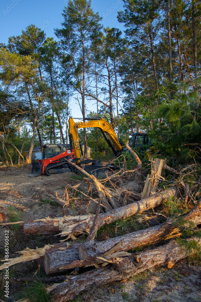 Native forest habitat destroyed for new housing construction in north central Florida Native forest habitat destroyed for new housing construction in north central Florida