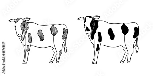 Cows isolated, sketch. line art