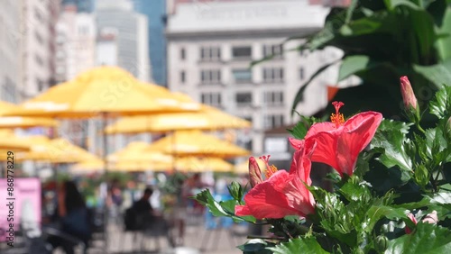 New York City, United States, Manhattan Midtown Broadway, 23 street, 5 avenue crossroad. Worth Square near Madison Park, Flatiron Building, USA. People on chairs, tables and umbrellas. Summer flowers.