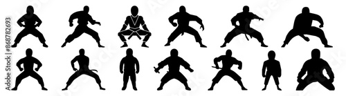 Fighter karate kung fu silhouette set vector design big pack of illustration and icon