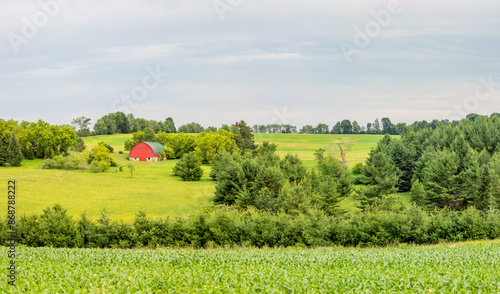 Wisconsin farmland in June with a red barn