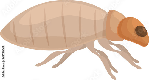 Bark beetle walking side view, pest control and extermination service logo