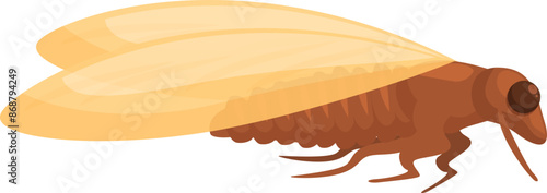 Brown termite insect is crawling on the ground