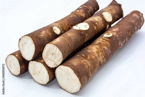 Stack of cassava isolated on white for tapioca or ethanol industry raw tuber in top view