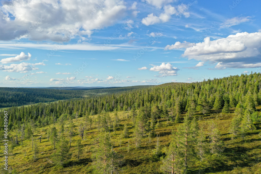 Summery aerial view of a coniferous forest at Riisitunturi national park, Posio, Northern Finland, Europe Summery aerial view of a coniferous forest at Riisitunturi national park, Posio, Northern Finland, Europe