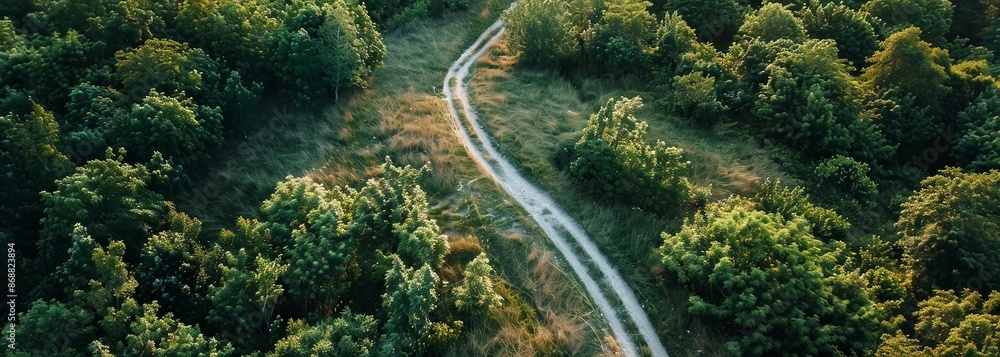 Aerial view of winding trail. Top view. Nature background Aerial view of winding trail. Top view. Nature background